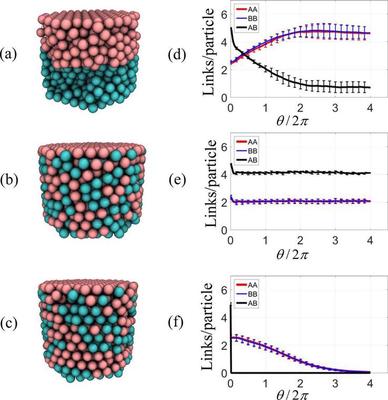 Morphologies obtained after four rotations of the top layer during torsional deformation of PGN networks formed from 1:1 mixtures of A (cyan) and B (pink) particles interlinked by labile bonds having the following bond energies: (a) $U_{AA,BB}=39k_{B}T$, $U_{AB}=33k_{B}T$, and (b) $U_{AA,BB}=U_{AB}=33k_{B}T$. In (c), the PGNs are interlinked by permanent bonds with bond energies of $U_{AA,BB}=39k_{B}T$, $U_{AB}=33k_{B}T$. The initial conditions correspond to random binary A/B mixtures within the bulk of the material; the bottom and top layers consist of solely A and B particles, respectively. (d)-(f) Evolution of the numbers of AA (red), BB (blue), and AB (black) links per particle as a function of the rotation angle $\theta$ for the systems shown in (a)−(c), respectively. The results are obtained by averaging over eight independent simulations and the error bars represent the standard deviations from those averages.