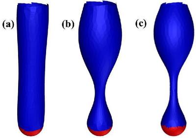 (a–c) The pearling instability for a cylindrical membrane with increasing surface tension going from left to right, or $\sigma R^2_0/\kappa = 0.267$, $2.67$, and $4.15$ respectively. The top and red parts of the tube are fixed.